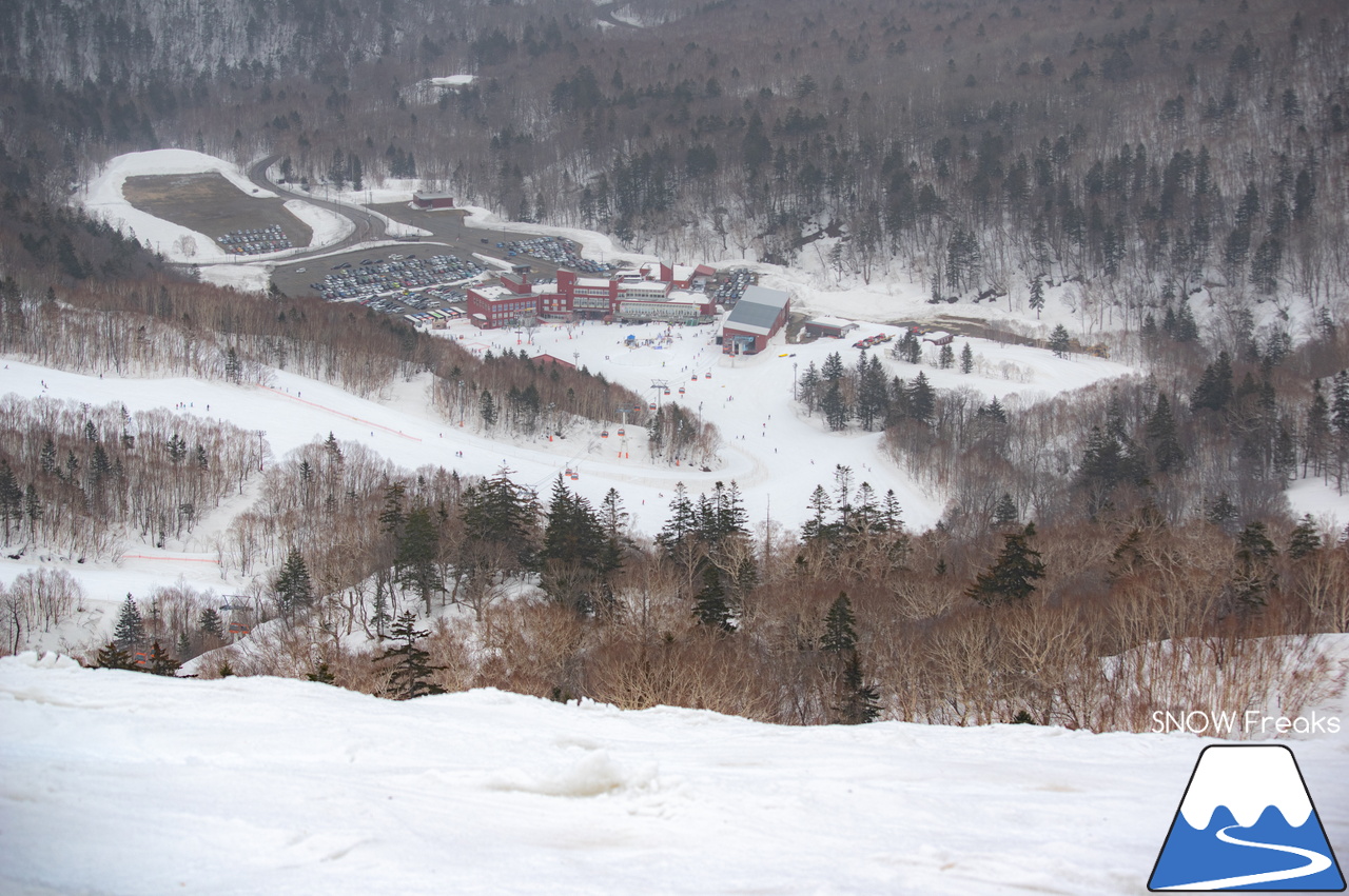 札幌国際スキー場｜山頂の積雪は、300cm！連日の春スキー＆スノーボード日和から一転、今日は冬が帰ってきました♪